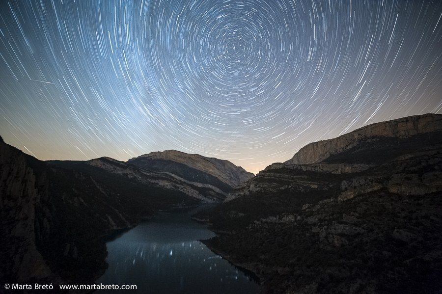 Don’t let them cut your wings: Live and death of nature photography as art