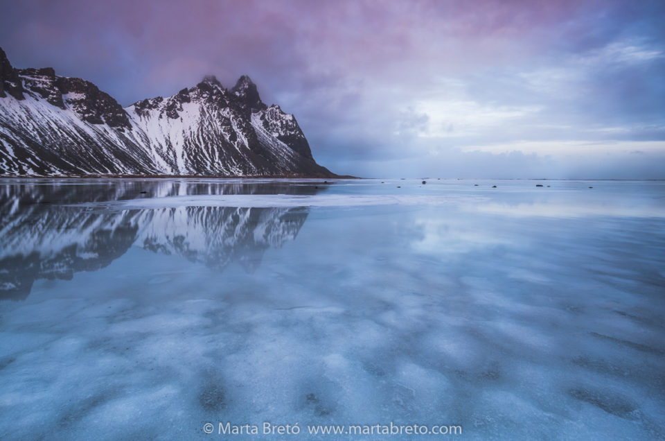 Marta Bretó – Nature Photography